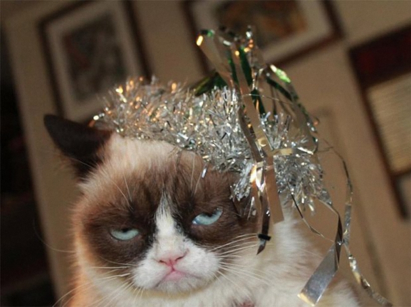 Porción matutina de la risa: bestias con resaca Porción matutina de la risa: bestias con resaca