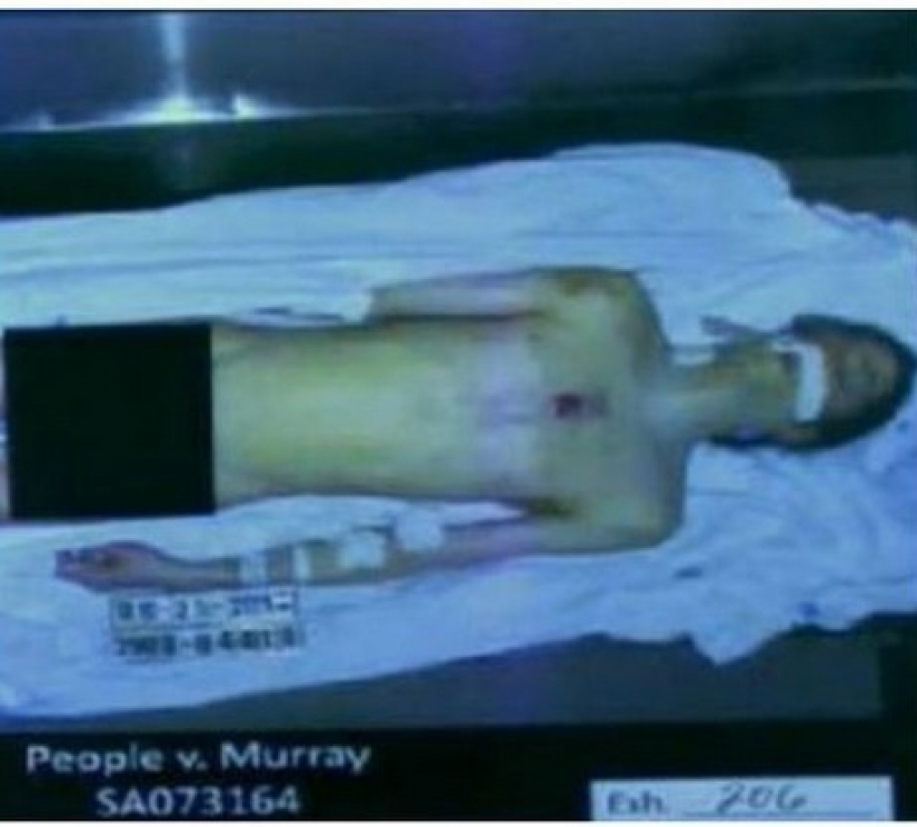 Posthumous photos of celebrities: specific earnings on idols of millions Posthumous photos of celebrities: specific earnings on idols of millions