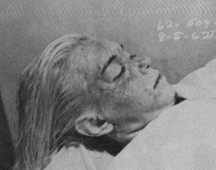 Posthumous photos of celebrities: specific earnings on idols of millions Posthumous photos of celebrities: specific earnings on idols of millions