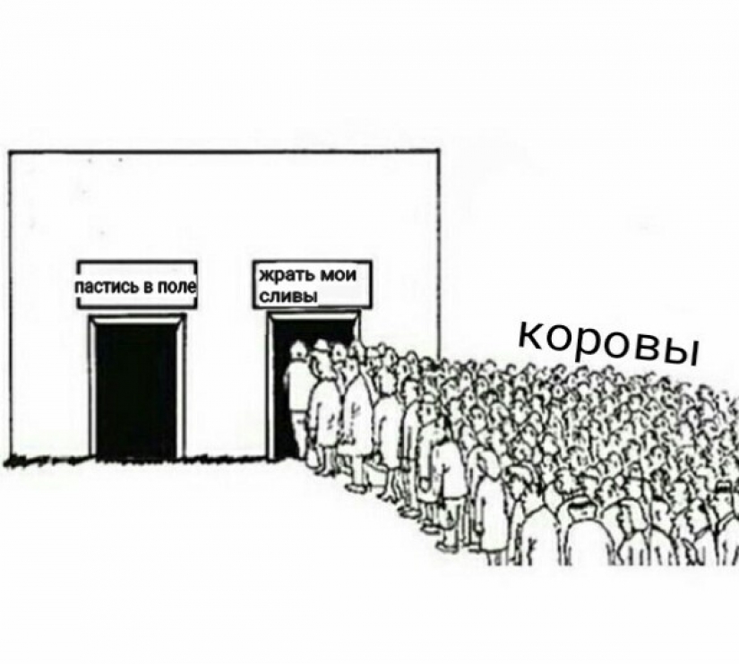 Precios, un nieto estúpido y cáscaras de cebolla: memes para pensionistas aparecieron en la red