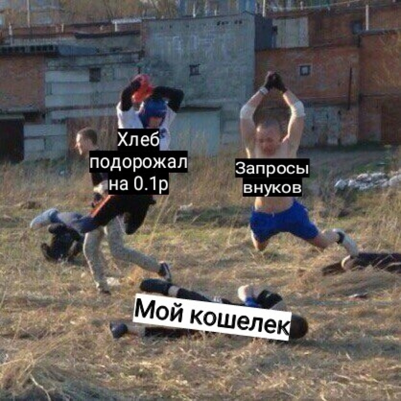 Prices, a stupid grandson and onion husks: memes for pensioners appeared on the network