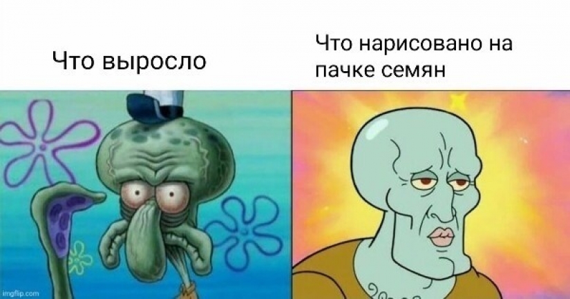 Prices, a stupid grandson and onion husks: memes for pensioners appeared on the network