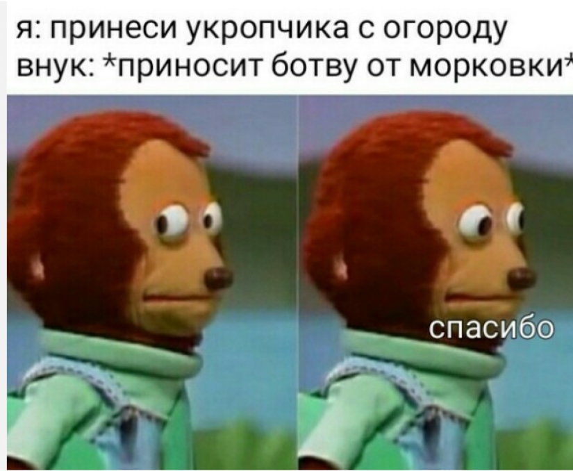 Prices, a stupid grandson and onion husks: memes for pensioners appeared on the network