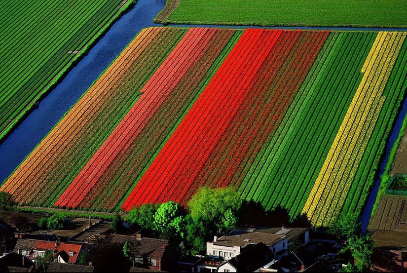Proyecto fotográfico legendario "La Tierra vista desde el cielo" Parte 2