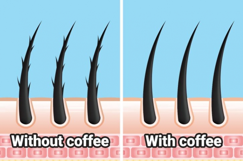 ¿Qué le pasa a tu cabello cuando cortas el café?