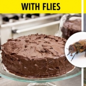 ¿Qué pasaría si todos los insectos de la tierra desaparecieran? ¿Qué pasaría si todos los insectos de la tierra desaparecieran?