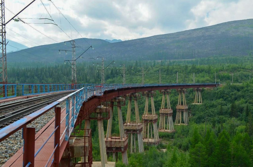 ¿Qué se puede ver desde la ventana del tren en la autopista Transiberiana? ¿Qué se puede ver desde la ventana del tren en la autopista Transiberiana?
