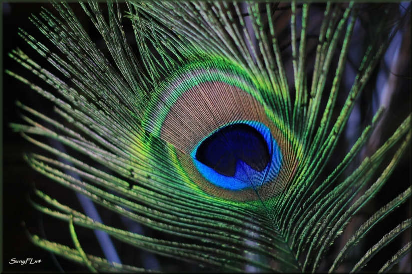 Recuerdos de mala suerte Recuerdos de mala suerte