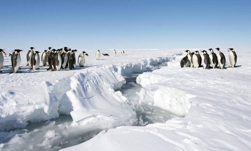 "Refrigerator" Of The Earth. Incredible facts about the mysterious and harsh Antarctica "Refrigerator" Of The Earth. Incredible facts about the mysterious and harsh Antarctica