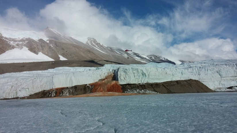 "Refrigerator" Of The Earth. Incredible facts about the mysterious and harsh Antarctica "Refrigerator" Of The Earth. Incredible facts about the mysterious and harsh Antarctica