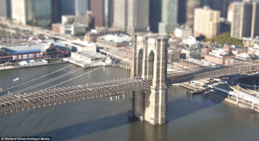 Richard Silver: las vistas del mundo en un enfoque inusual