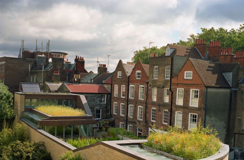 Roof gardens