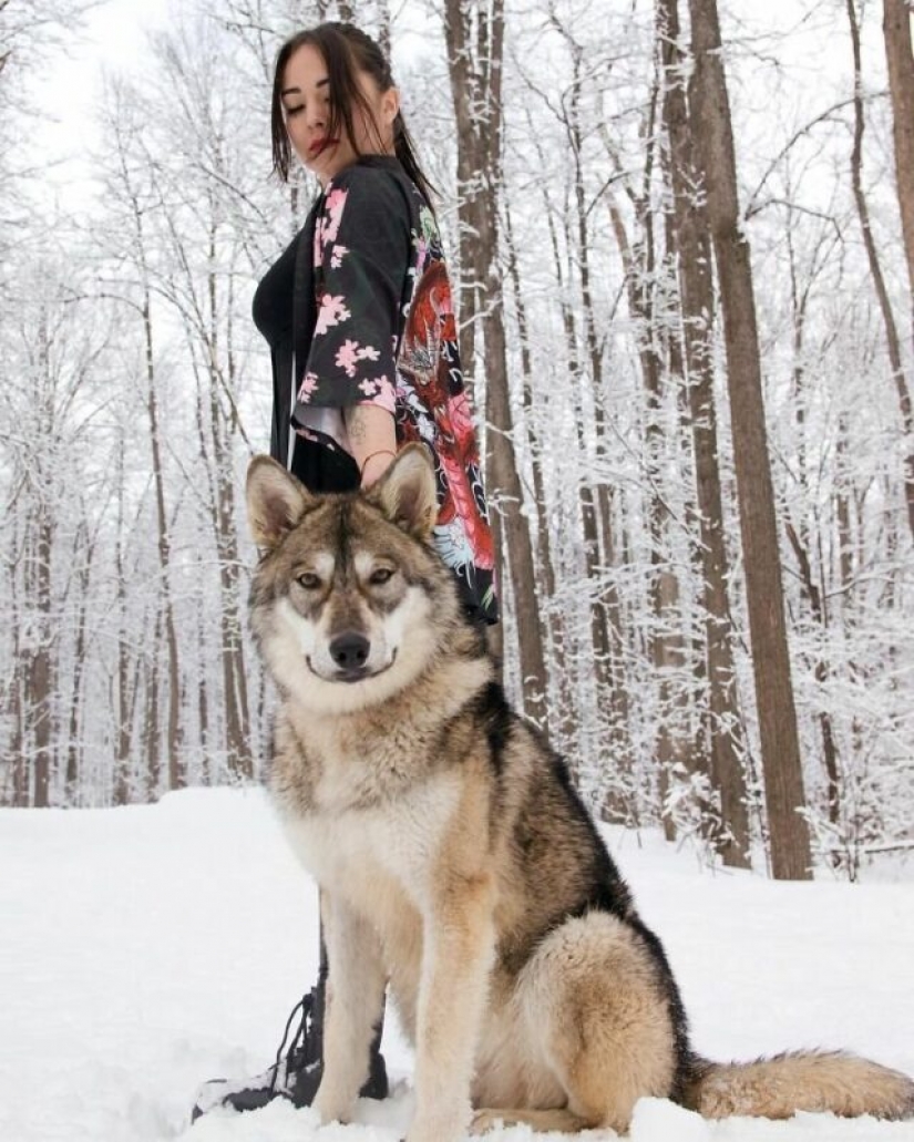 Russian woman saved a little wolf cub and got a loyal friend