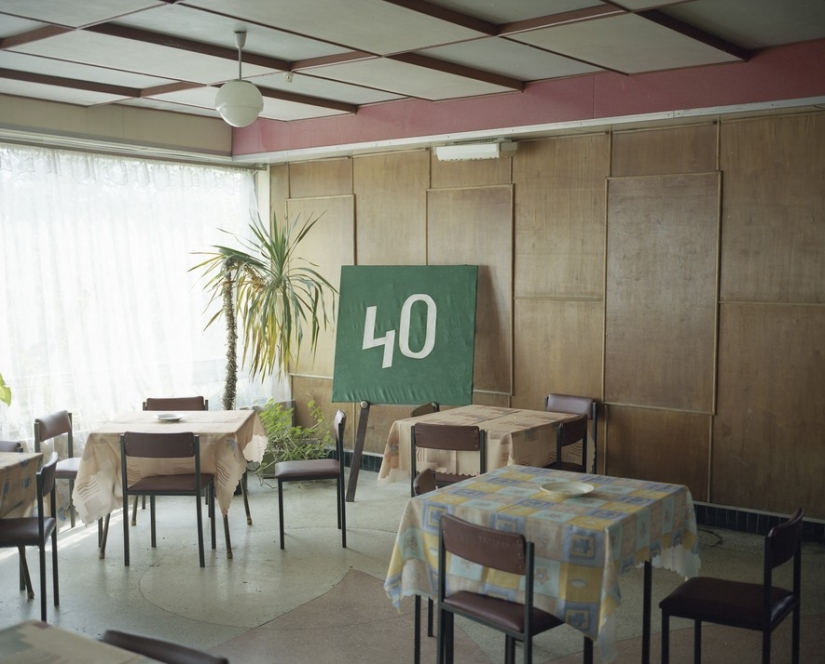 "Salt of the earth" "Salt of the earth"