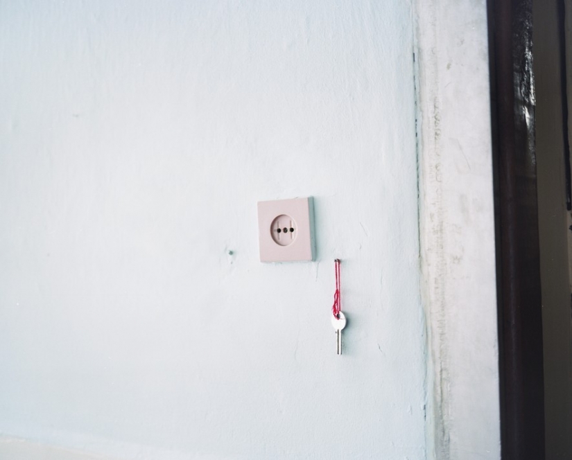 "Salt of the earth" "Salt of the earth"