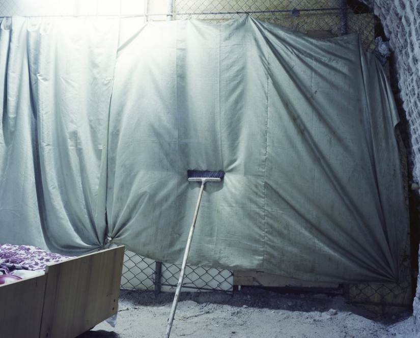 "Salt of the earth" "Salt of the earth"