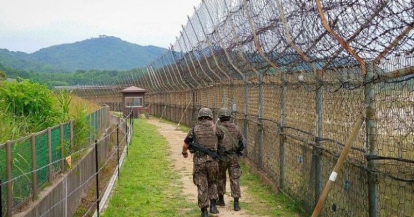 Salto a la libertad: una gimnasta de Corea del Norte saltó por encima de una valla de tres metros en Corea del Sur Salto a la libertad: una gimnasta de Corea del Norte saltó por encima de una valla de tres metros en Corea del Sur