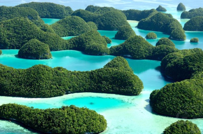 Save our souls: sailors on a desert island were found thanks to the SOS inscription