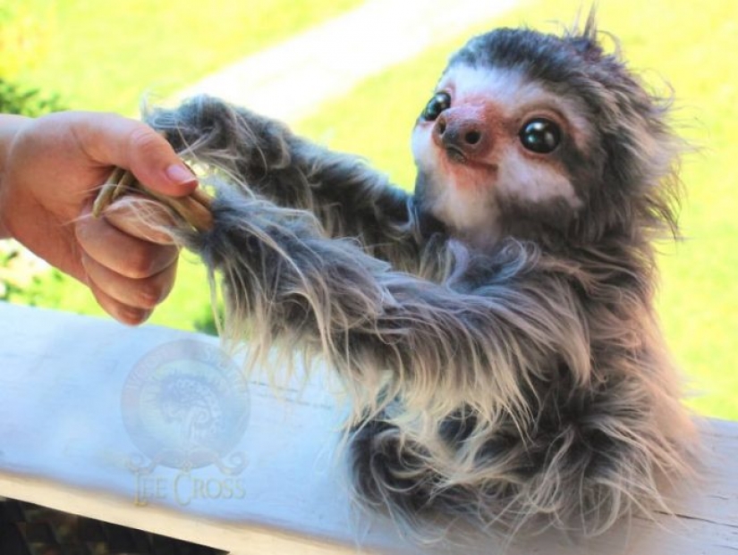 Self-taught creates realistic dolls