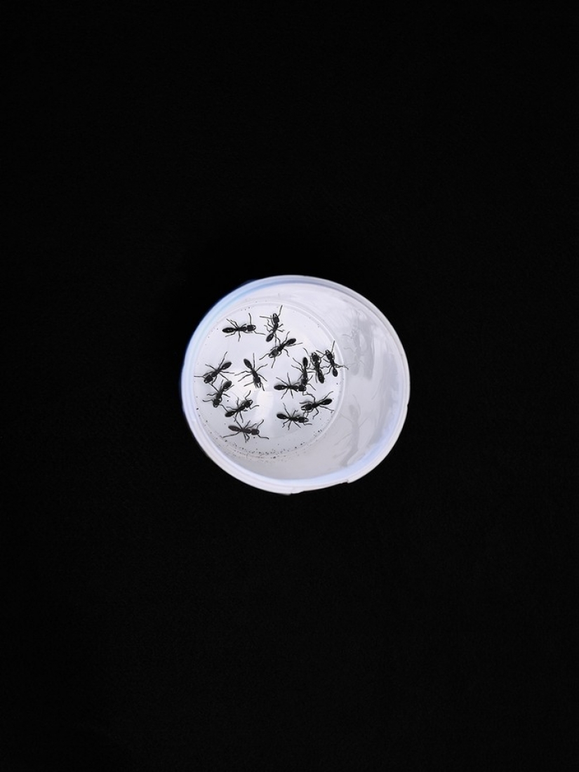 Shocking tradition of Cameroon-breast ironing