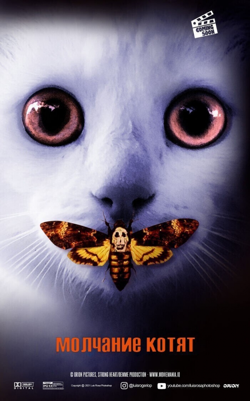 Si los perros y los gatos jugaran en los éxitos de taquilla Si los perros y los gatos jugaran en los éxitos de taquilla