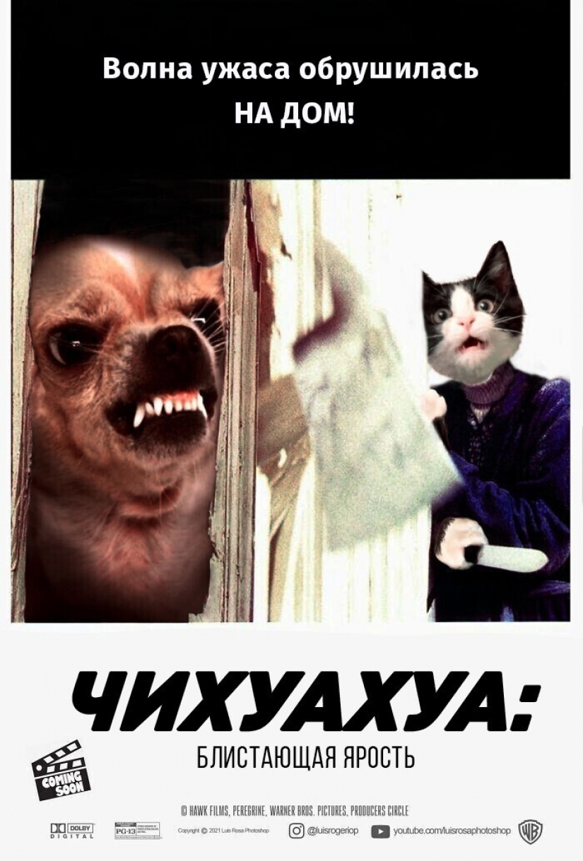 Si los perros y los gatos jugaran en los éxitos de taquilla Si los perros y los gatos jugaran en los éxitos de taquilla