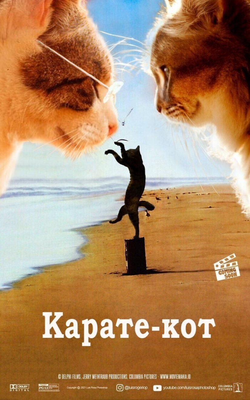 Si los perros y los gatos jugaran en los éxitos de taquilla Si los perros y los gatos jugaran en los éxitos de taquilla