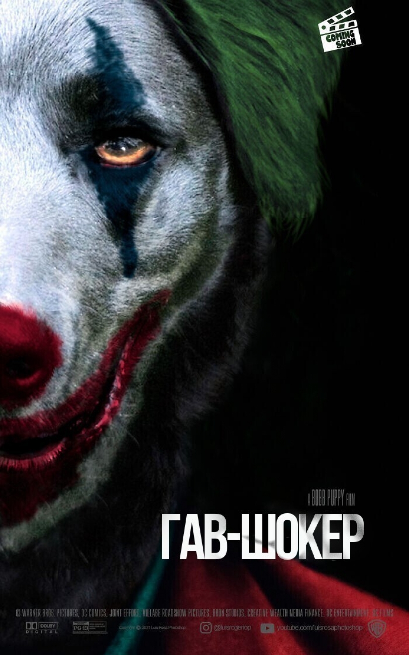 Si los perros y los gatos jugaran en los éxitos de taquilla Si los perros y los gatos jugaran en los éxitos de taquilla