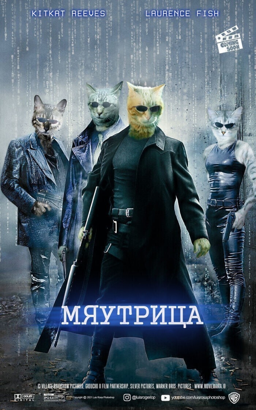 Si los perros y los gatos jugaran en los éxitos de taquilla Si los perros y los gatos jugaran en los éxitos de taquilla