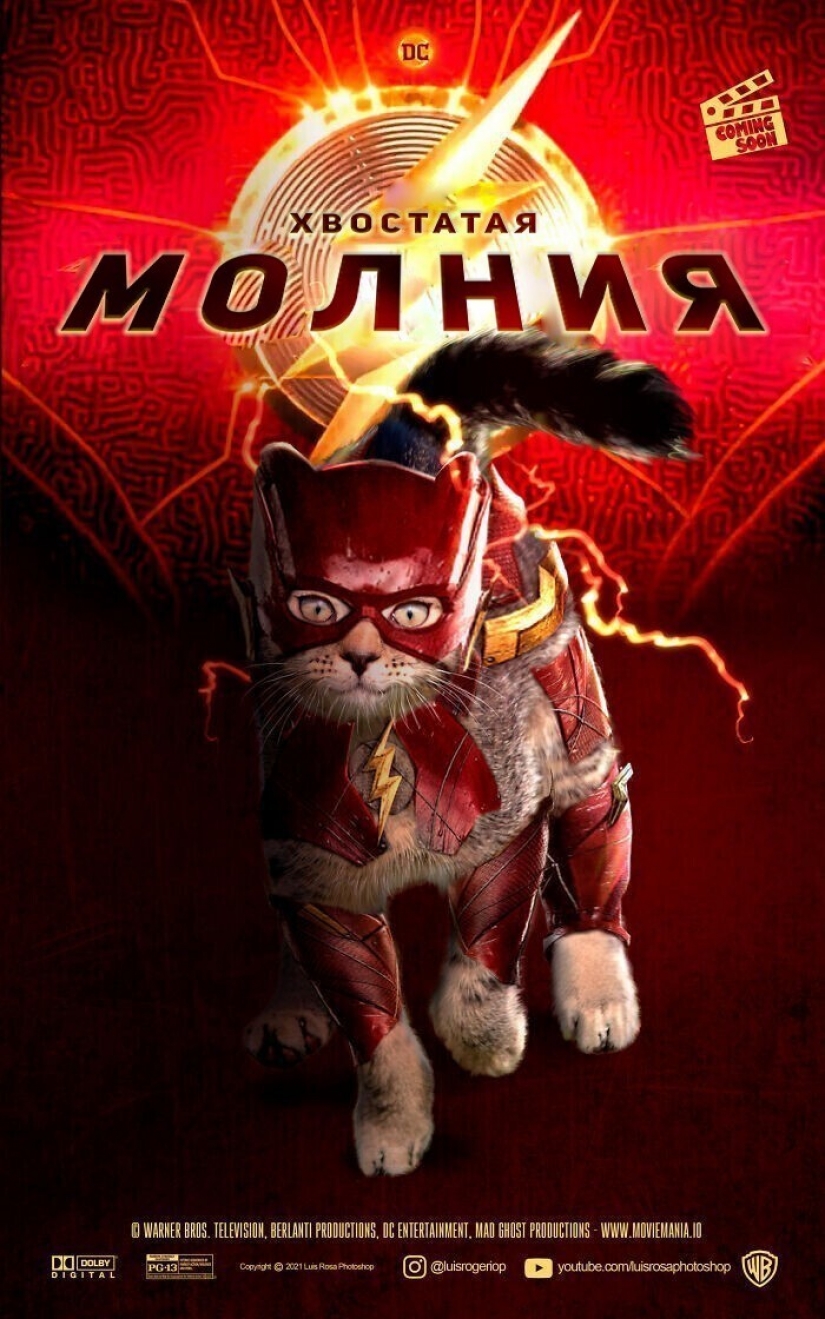 Si los perros y los gatos jugaran en los éxitos de taquilla Si los perros y los gatos jugaran en los éxitos de taquilla