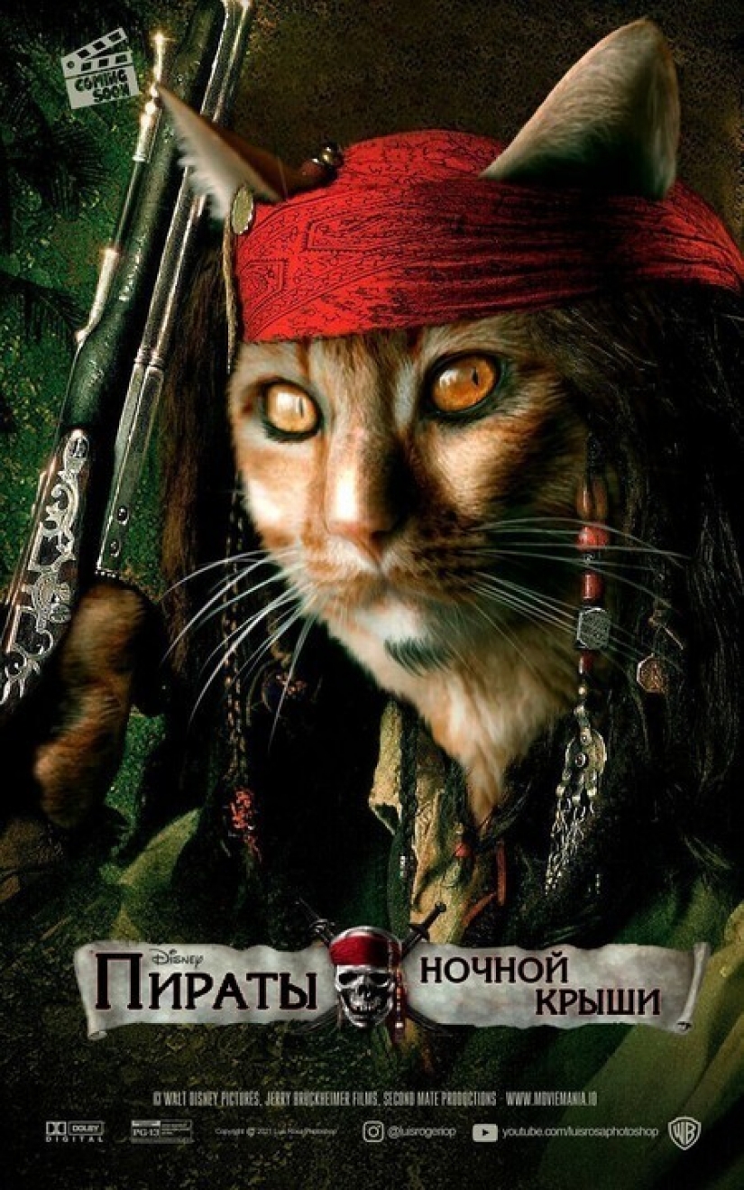 Si los perros y los gatos jugaran en los éxitos de taquilla Si los perros y los gatos jugaran en los éxitos de taquilla