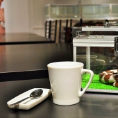 Snake cafe in Japan-is it creepy? Still what!