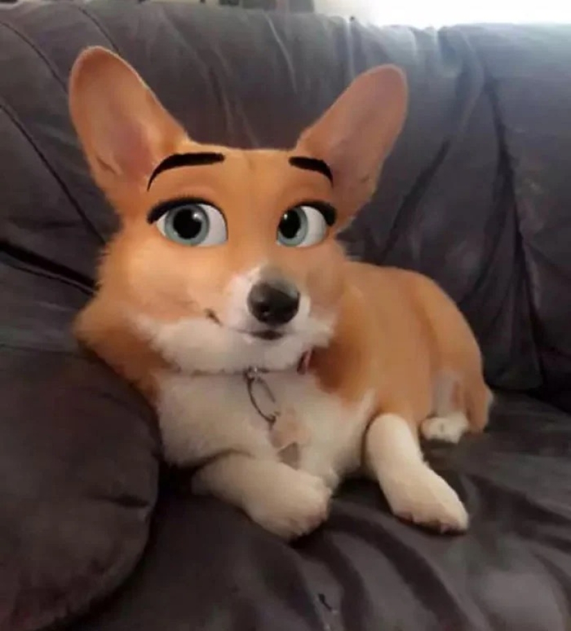 Snapchat ha Añadido un Nuevo Filtro De Cara De Dibujos Animados Que Hace Que Los Perros Se Vean Como Personajes De Disney Snapchat ha Añadido un Nuevo Filtro De Cara De Dibujos Animados Que Hace Que Los Perros Se Vean Como Personajes De Disney