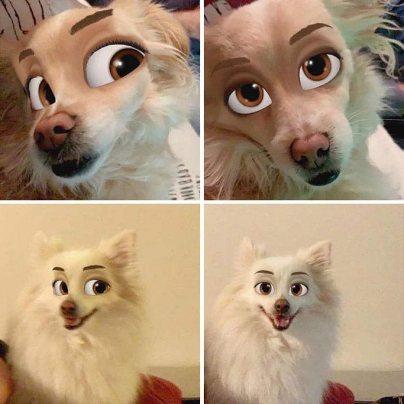 Snapchat has Added a New Cartoon Face Filter That Makes Dogs Look Like Disney Characters Snapchat has Added a New Cartoon Face Filter That Makes Dogs Look Like Disney Characters