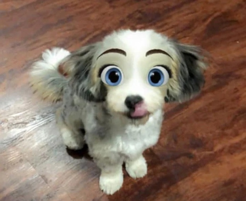 Snapchat has Added a New Cartoon Face Filter That Makes Dogs Look Like Disney Characters Snapchat has Added a New Cartoon Face Filter That Makes Dogs Look Like Disney Characters