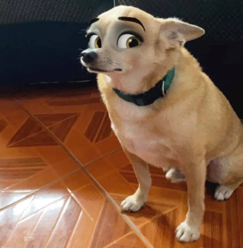 Snapchat has Added a New Cartoon Face Filter That Makes Dogs Look Like Disney Characters Snapchat has Added a New Cartoon Face Filter That Makes Dogs Look Like Disney Characters