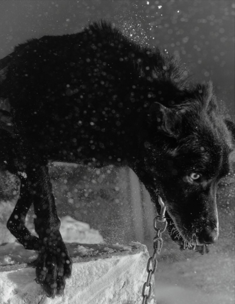 Snow-covered landscapes and the polar night: how life works in the northernmost city of Alaska