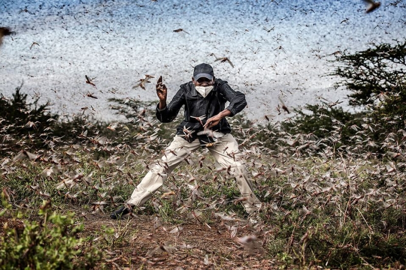 Sony World Photography Awards: los finalistas 2021