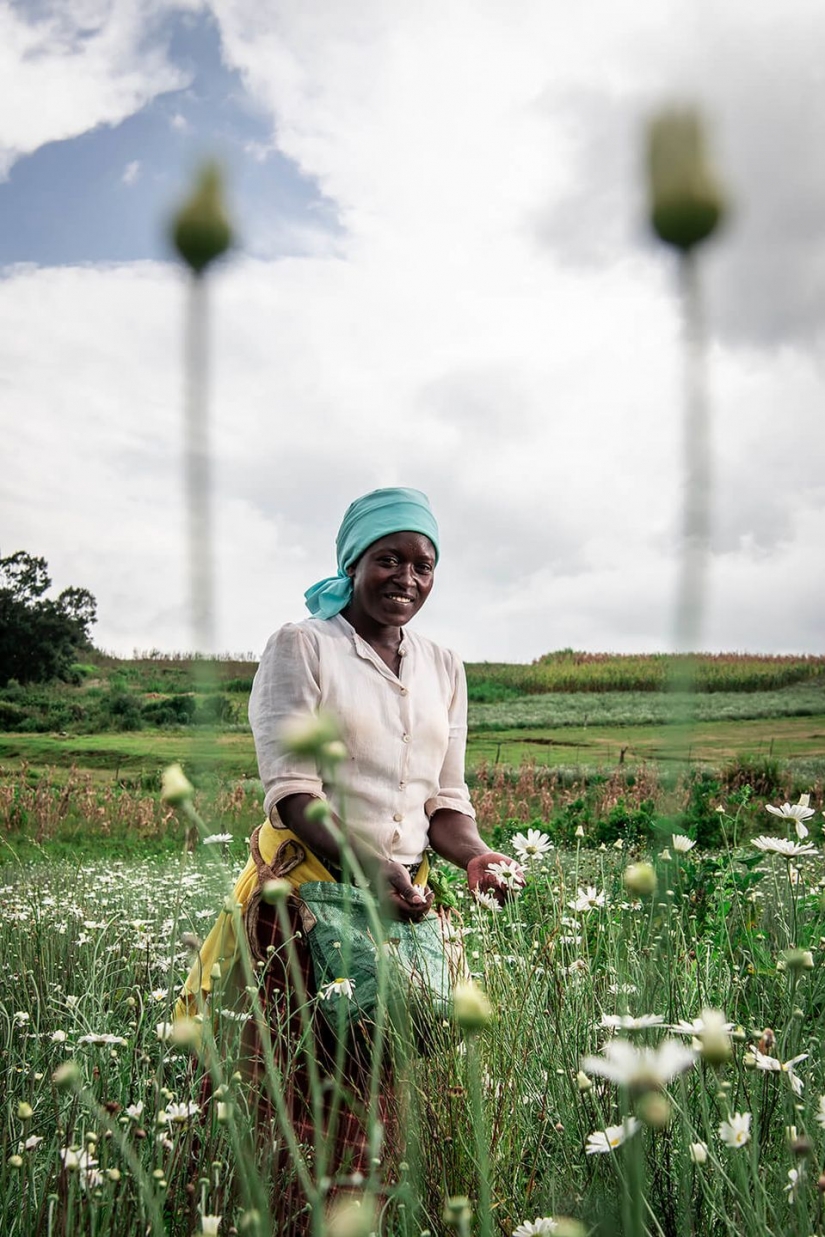 Sony World Photography Awards: los finalistas 2021
