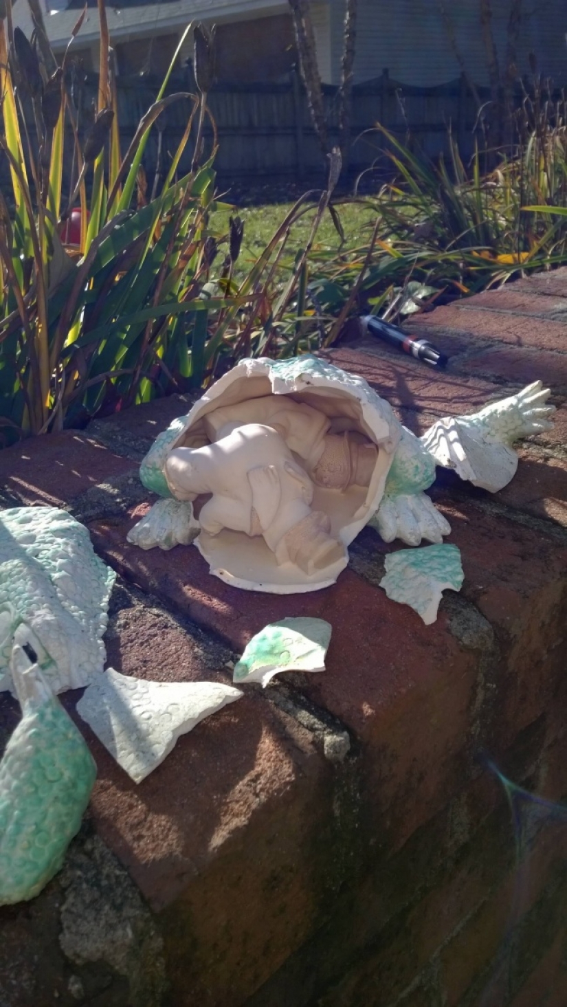 Sorprendentes sorpresas ocultas en el interior de las cosas cotidianas