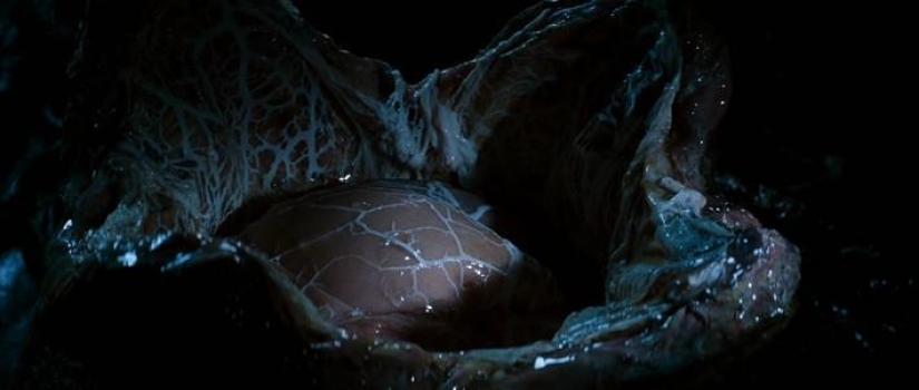 Special effects in cinema: space horror in the movie "Alien"