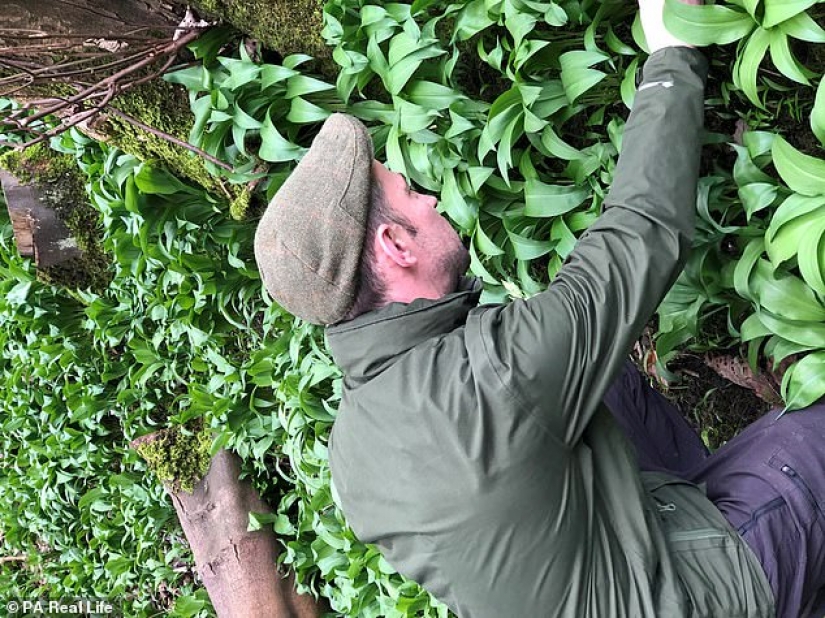 Squirrel steak and seaweed spaghetti: gatherers from Scotland eat everything they find near their home