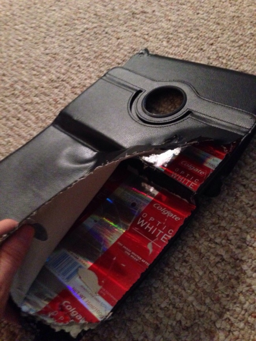 Startling surprises hidden inside everyday things