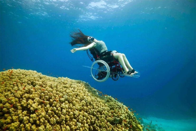 Sueños hechos realidad: cómo implementar el buceo en silla de ruedas