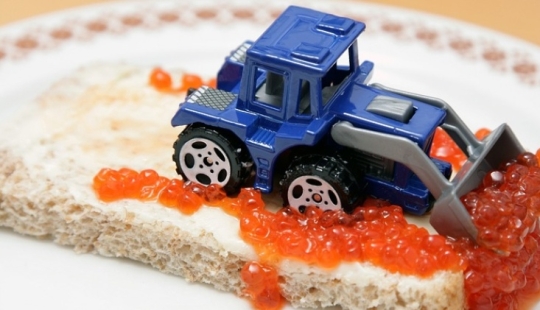 Suppliers warned that red caviar will rise in price by 20-60%