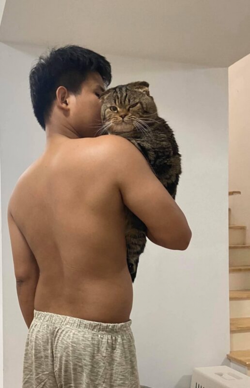 Surprisingly charming cat "stole" from the wife of her husband and she showed it in the photo Surprisingly charming cat "stole" from the wife of her husband and she showed it in the photo