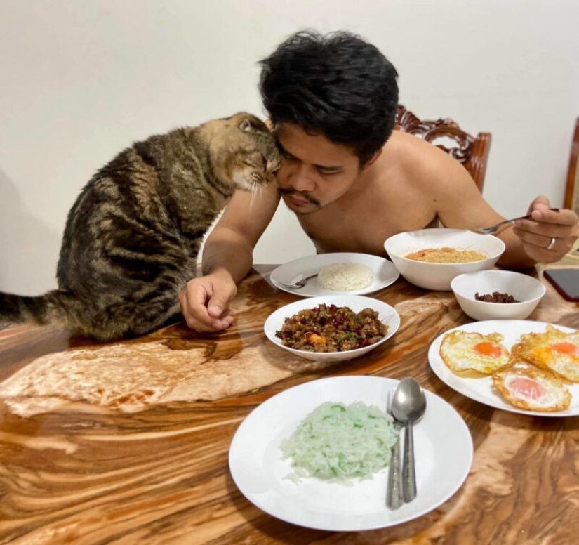 Surprisingly charming cat "stole" from the wife of her husband and she showed it in the photo Surprisingly charming cat "stole" from the wife of her husband and she showed it in the photo