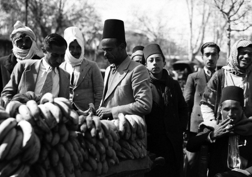 Syria world war II