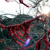 Taishan. Sunrise Mountain