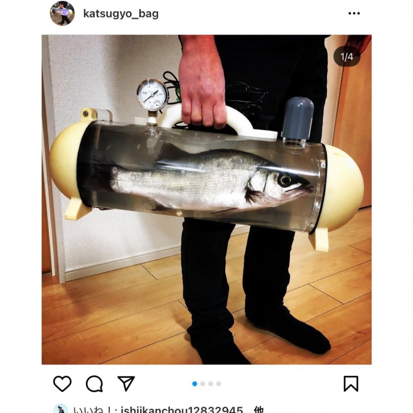 Take a walk, fish, big and small! Japan has created a transparent carrier bag for live fish